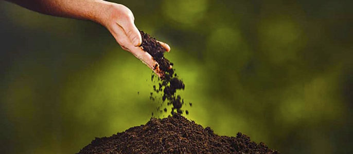 Adobs i esmenes per a nodrir la terra i les plantes