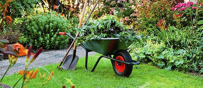 Cuidant el jardí amb el carretó, pala, eines manuals
