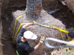 Kit d'ancrage pour arbre D25 (2.5) Gripple