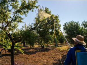 Produits de jardinage extérieurs domestiques