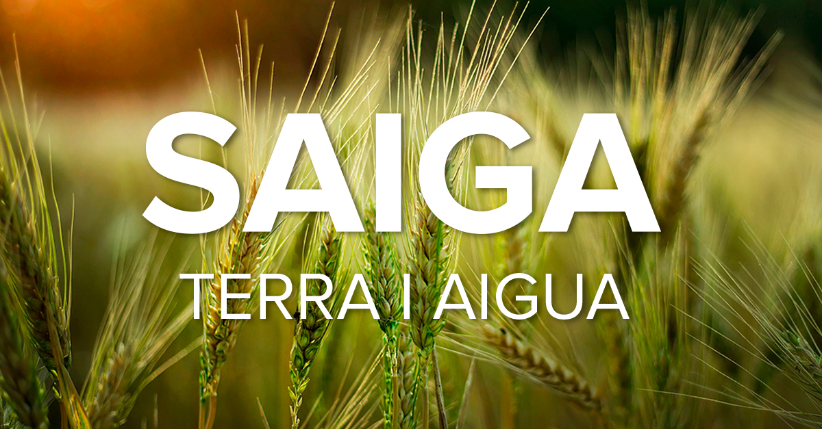 Comprar Marco De 1 A 4 Elemento Interior Marfil SIMON 82. 82714-34