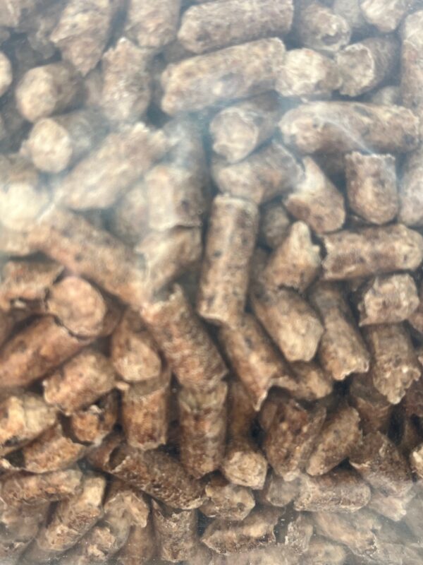 pellets – Image 2