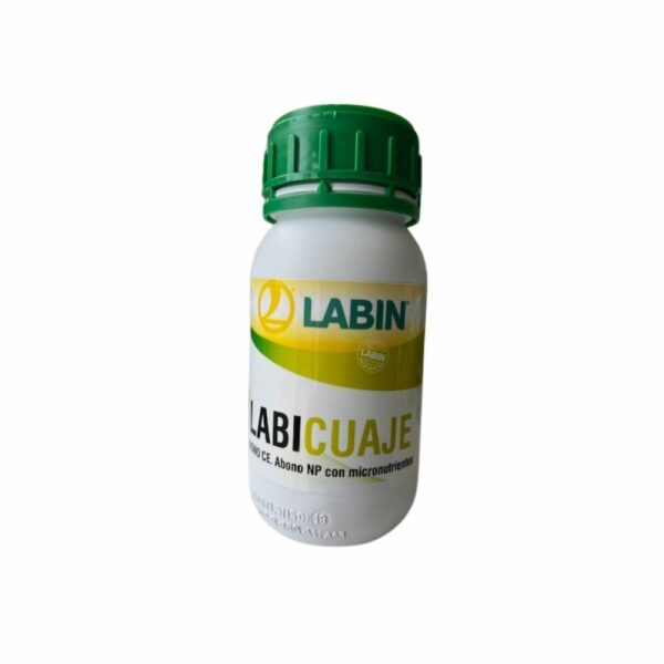 Labicuaje