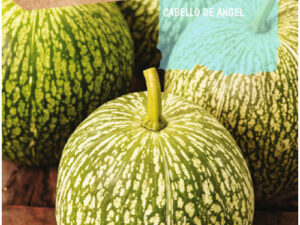 Citrouille aux cheveux d'ange Rocalba.