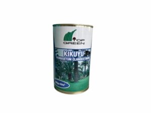 Herbe Kikuyu.