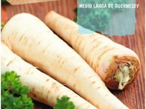 panais Rocalba