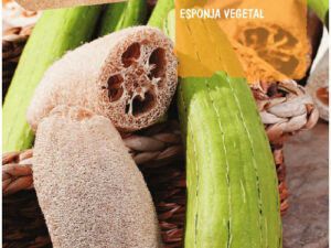 Citrouille Luffa