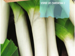 Poireaux Rocalba