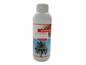 Sospalm