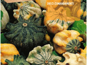 Citrouille dix commandements