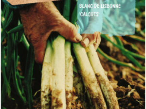 Sobre ceba 'calçot' tardana de Lleida
