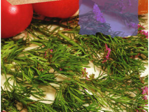 cumin