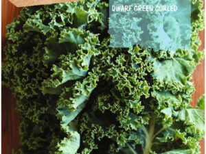 Sobre kale dwarf grenn curled