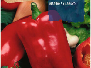Sobre pebrot professional híbrid f-1 lamuyo