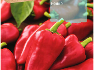Sobre pebrot piquillo