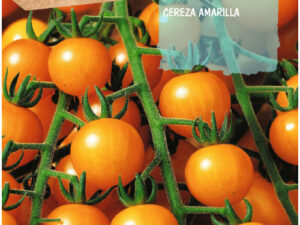 Sobre tomàquet cirera groga