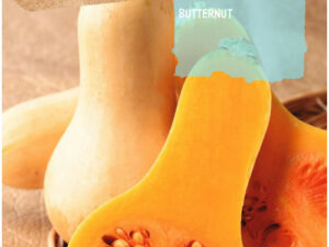 Courge musquée grossière