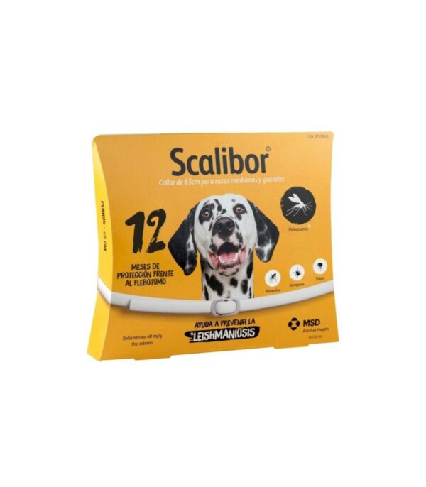 Collier Intervet scalibor 65cm