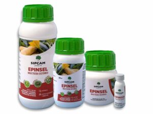 Epinsel