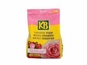 Adob rosers