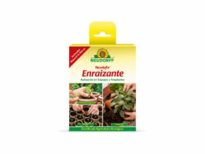 Enraizante
