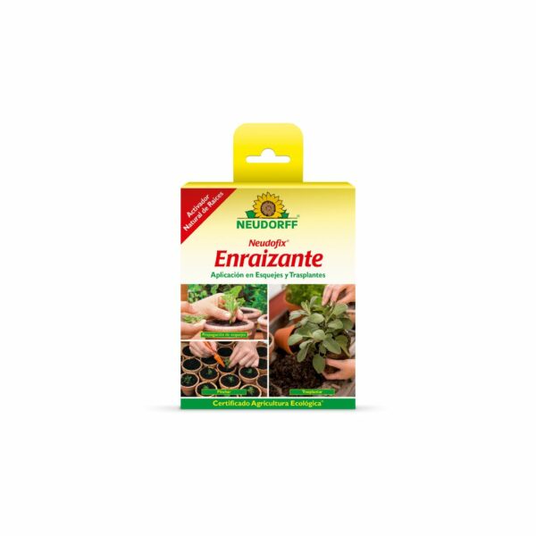 Enraizante