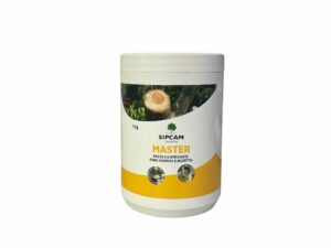 Master pasta cicatritzant