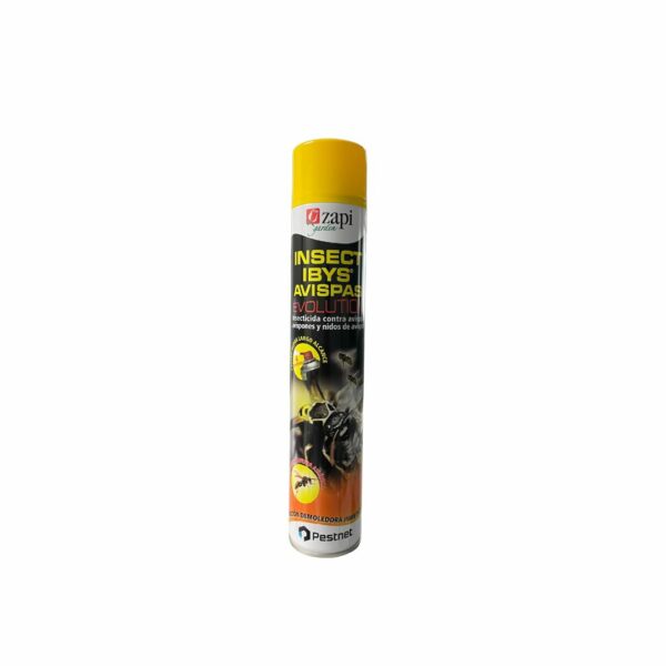 Insectibys Avispas Evolution