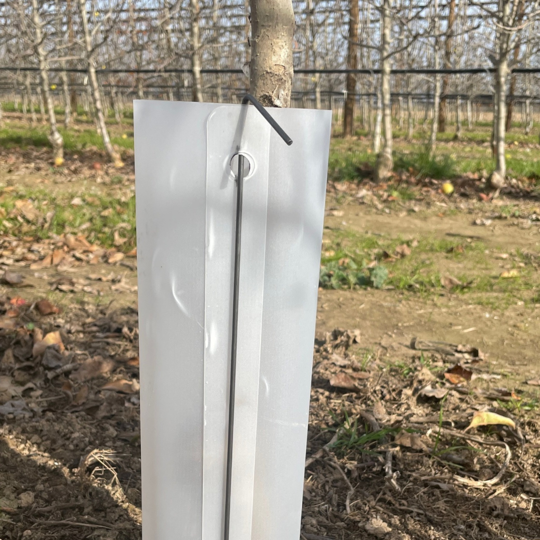 Protector contra conills i per a herbicida - Imatge 2