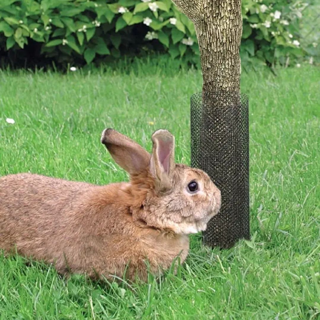 Protectnet, protection contre les lapins