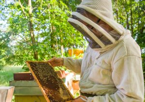 Control de l'eixamenada