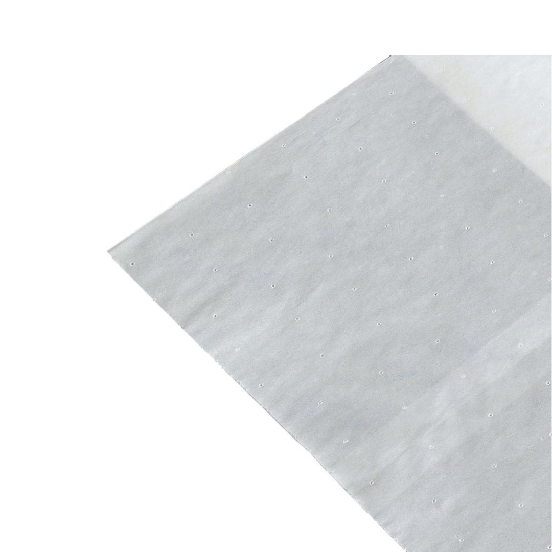 Fruitsac Nortene, protecteurs de fruits – Protection naturelle contre les insectes et les oiseaux – Image 2